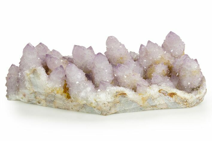 Phenomenal Cactus Amethyst Crystal Cluster - South Africa #364564